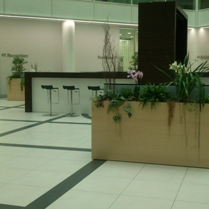 Деловой комплекс "Алкон"/ корпус 3, " Токио"