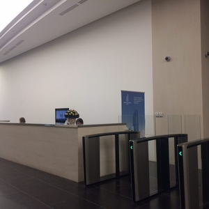 МФК "Федерация", Башня "Восток"